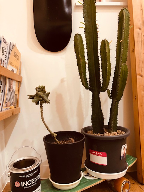 函館・床屋・店舗情報